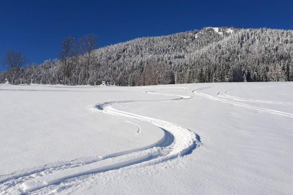 Appartment Dutzler Sankt Martin am Tennengebirge Bagian luar foto