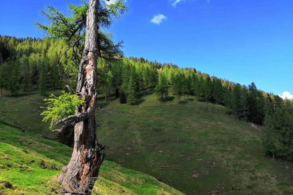 Appartment Dutzler Sankt Martin am Tennengebirge Bagian luar foto