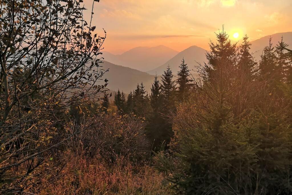 Appartment Dutzler Sankt Martin am Tennengebirge Bagian luar foto